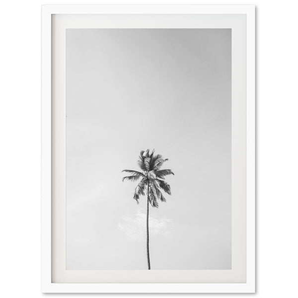 a black and white photo of a palm tree