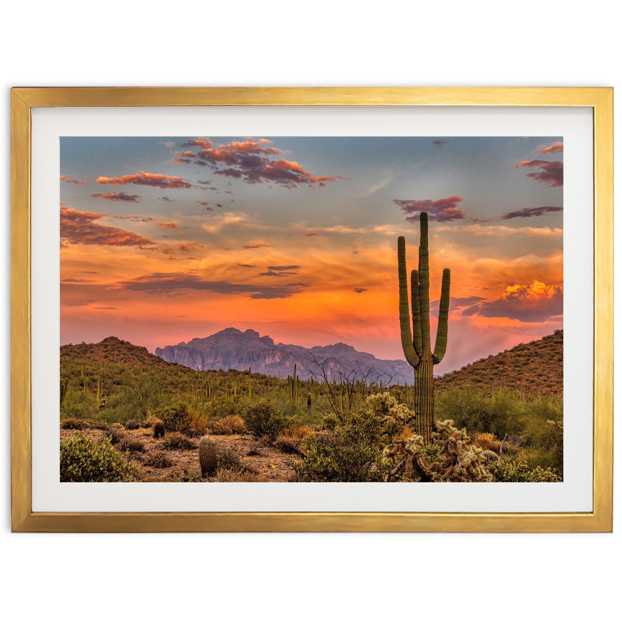 a picture of a desert with a cactus in the foreground