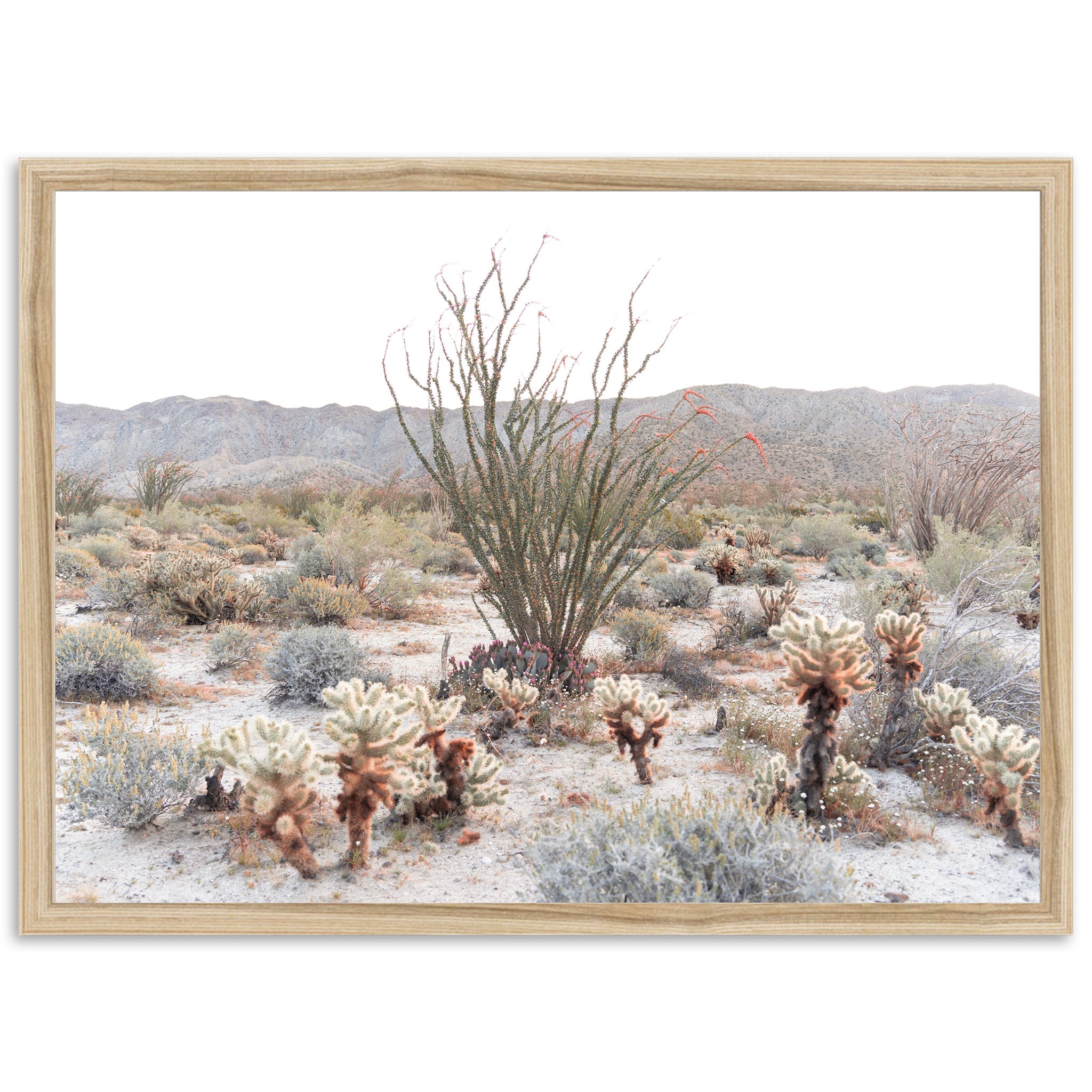 a picture of a desert scene with a cactus in the foreground