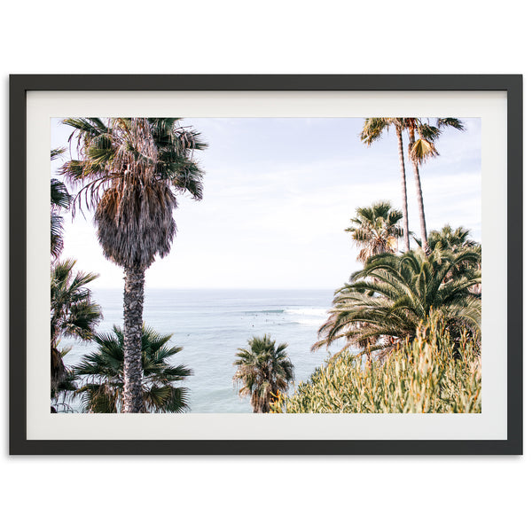 a framed photograph of palm trees and the ocean