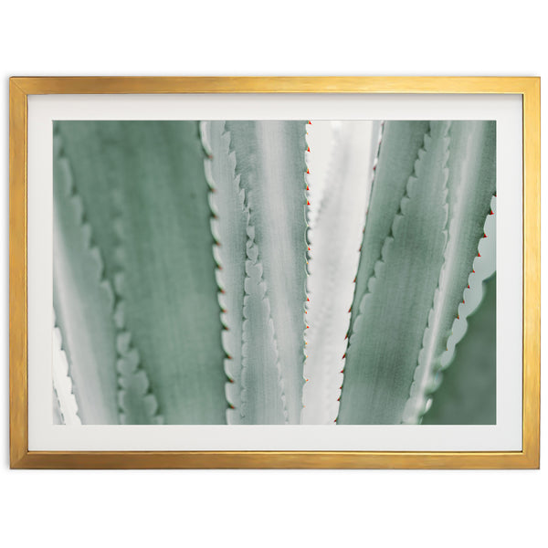 a picture of a green plant with a gold frame