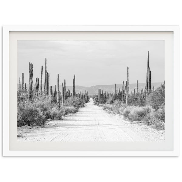 a black and white photo of a dirt road surrounded by cacti