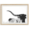 a black and white photo of a cow with long horns