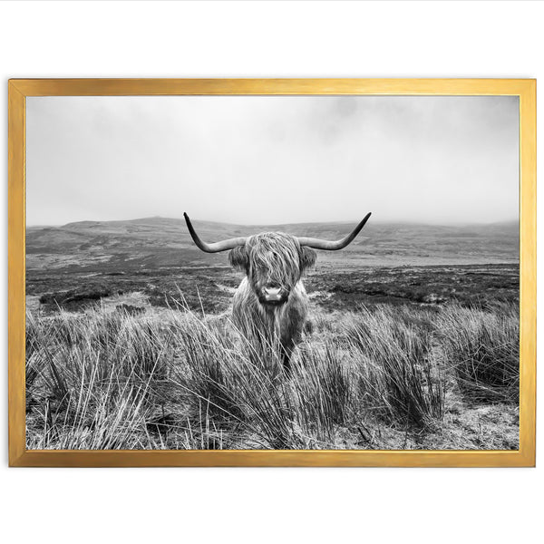 a black and white photo of a bull in a field