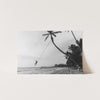 a black and white photo of a beach with palm trees