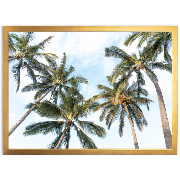 a picture of palm trees in a gold frame