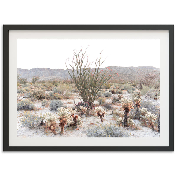 a picture of a desert with a cactus and mountains in the background