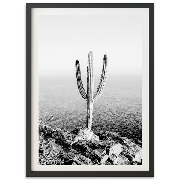 Beach Cactus II