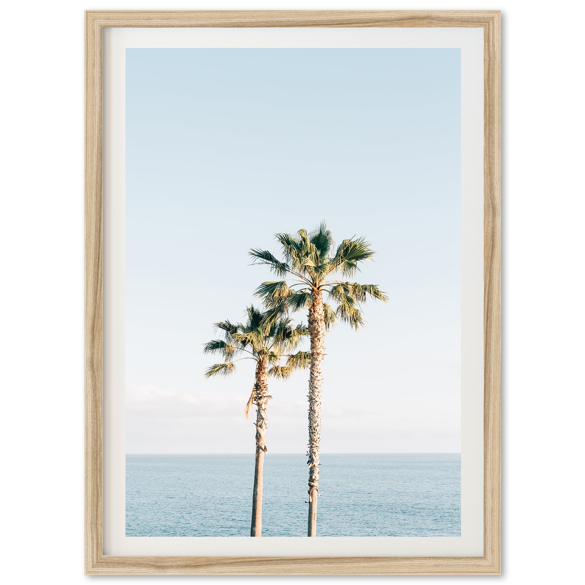 Ocean Palms