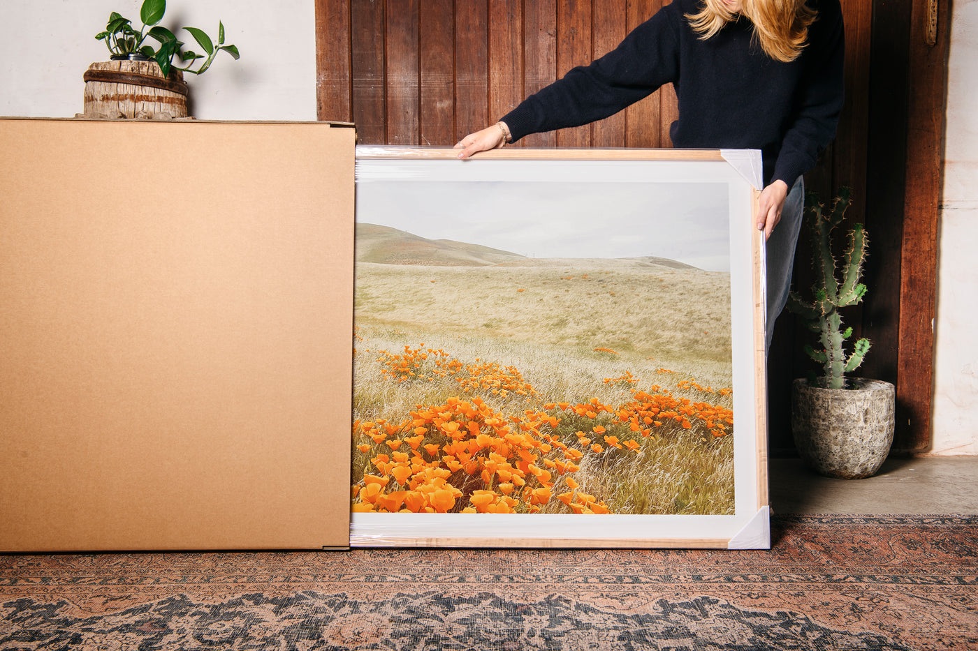 Shutter and Frame | Fine Art Photography Prints and Coastal Wall Art