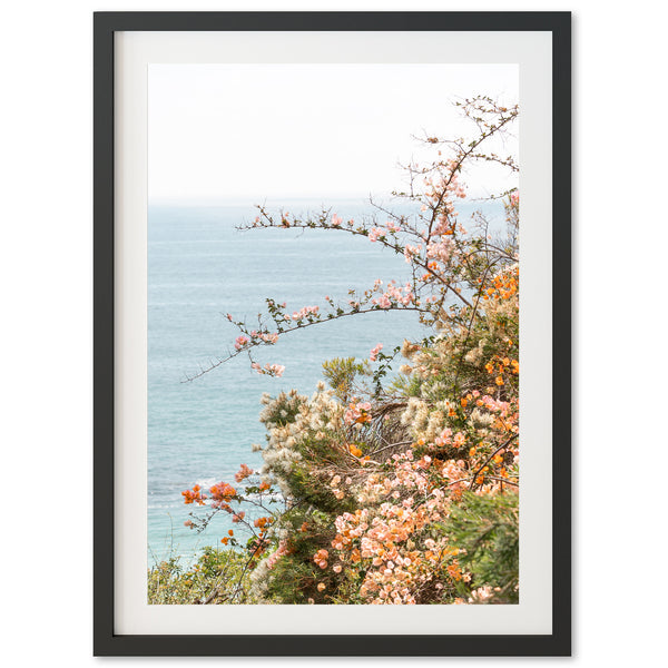Sea Bloom