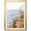 Sea Bloom