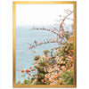 Sea Bloom