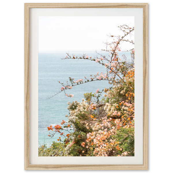 Sea Bloom