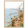 Sea Bloom