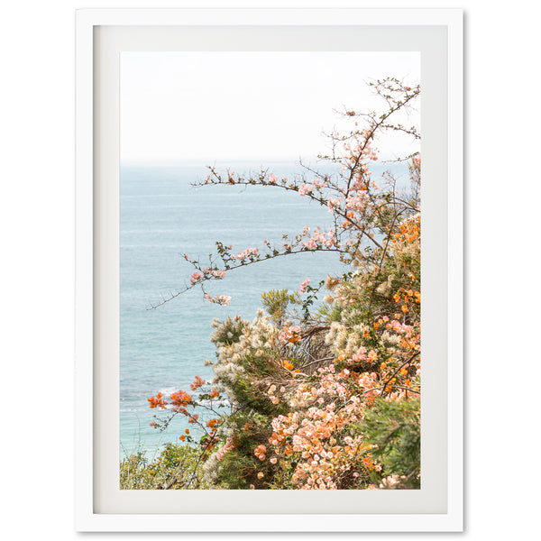 Sea Bloom