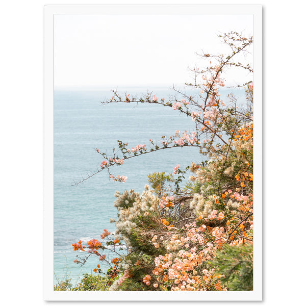 Sea Bloom