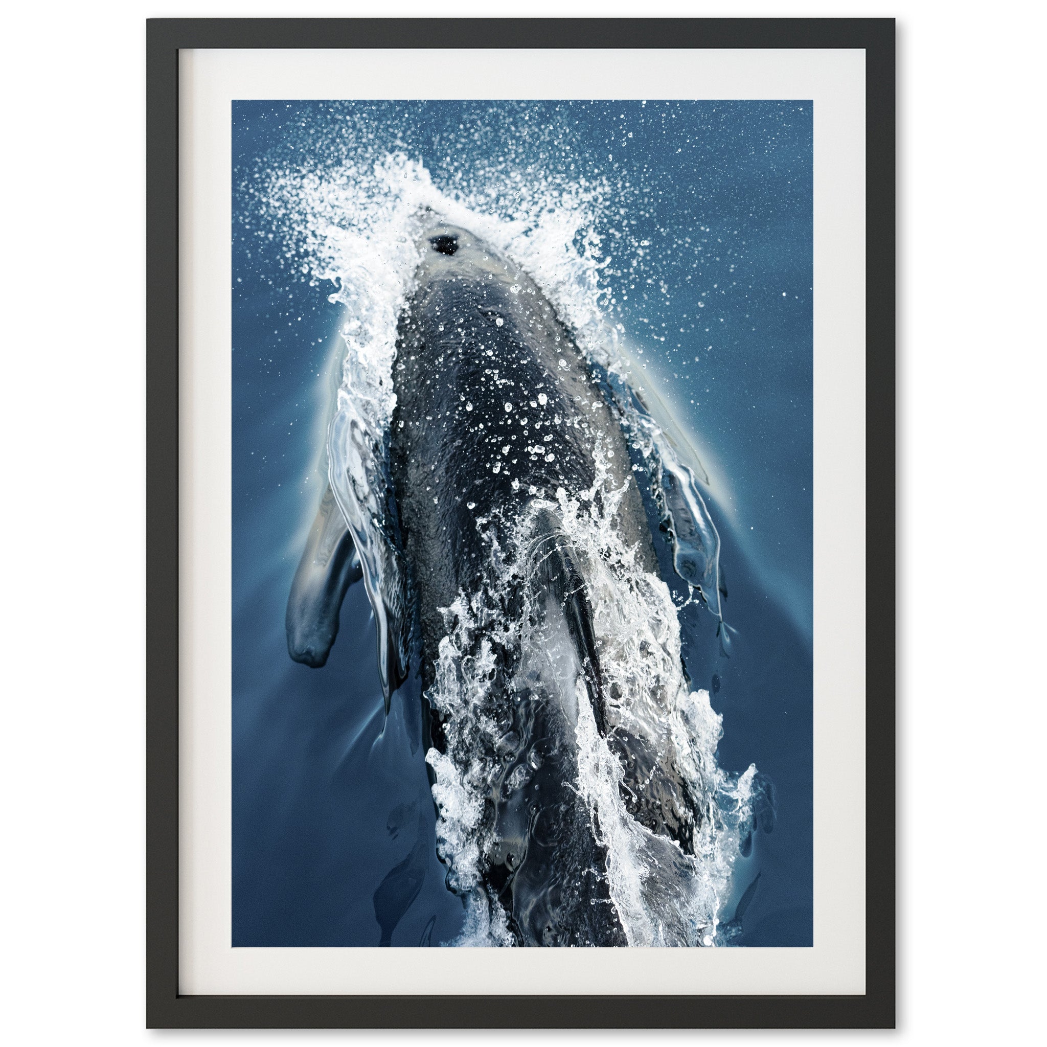Hydrodynamic