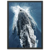 Hydrodynamic