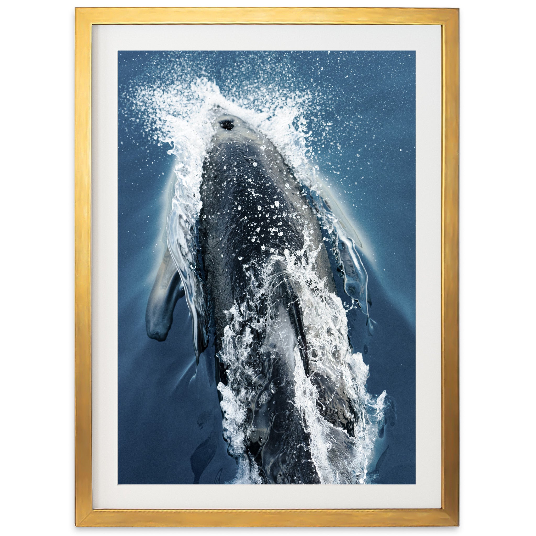 Hydrodynamic