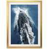 Hydrodynamic