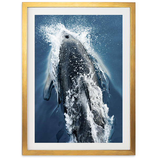 Hydrodynamic