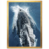 Hydrodynamic