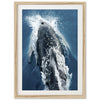 Hydrodynamic