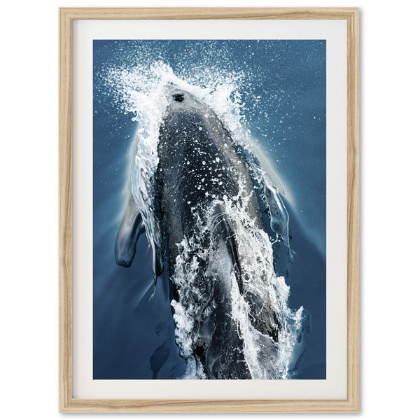 Hydrodynamic