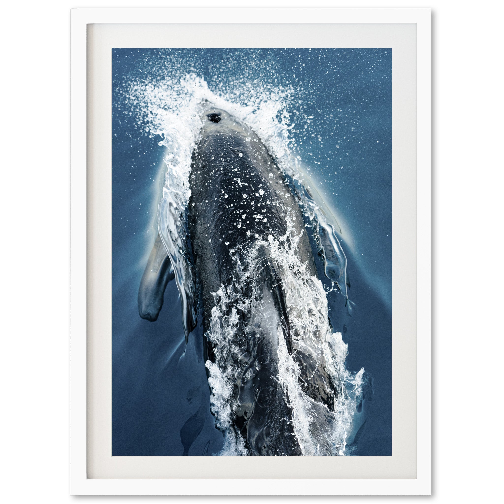 Hydrodynamic