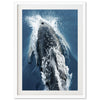 Hydrodynamic