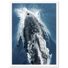 Hydrodynamic