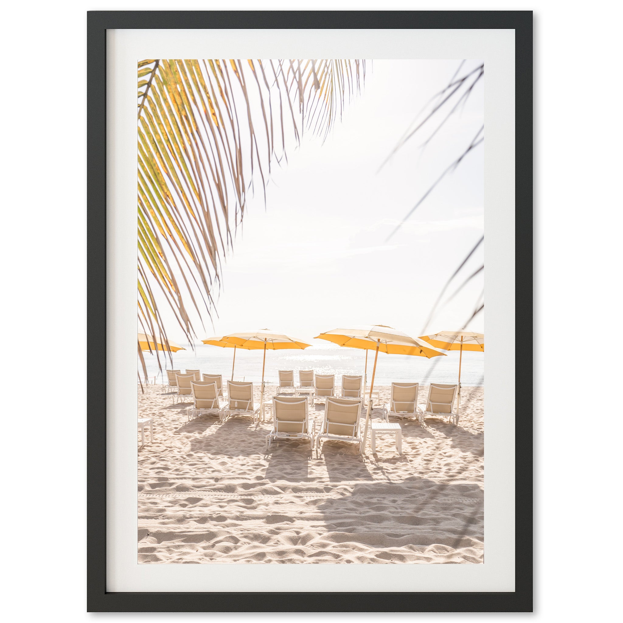 Palm Beach