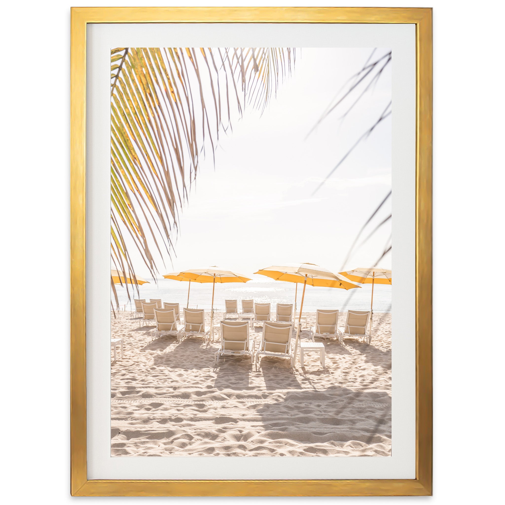 Palm Beach
