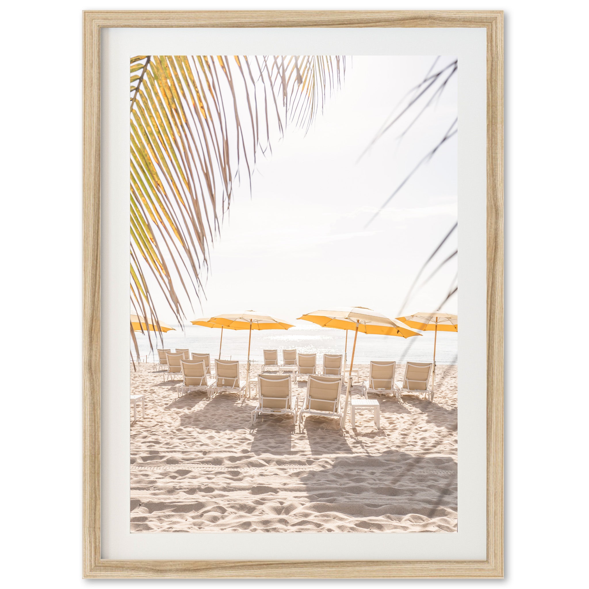 Palm Beach