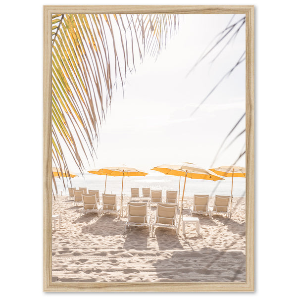 Palm Beach
