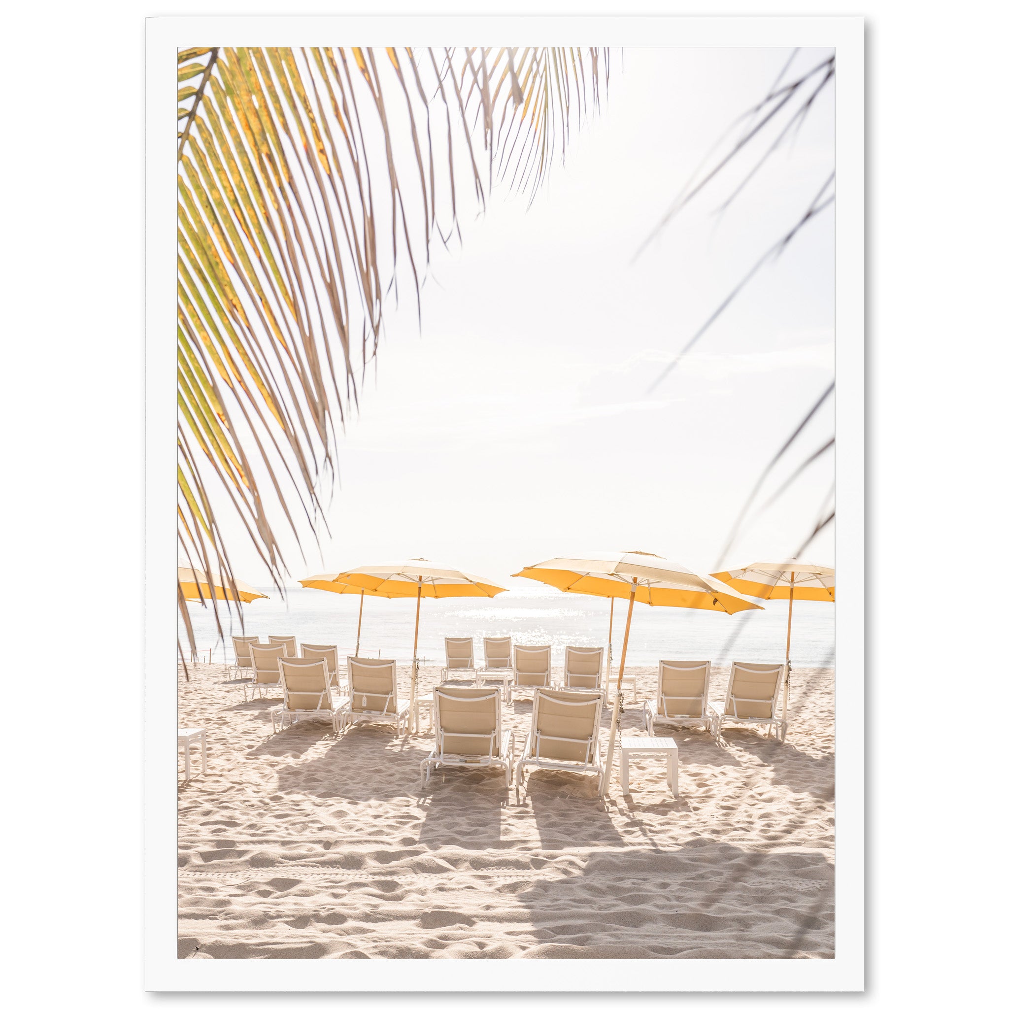 Palm Beach