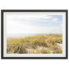 Atlantic Dunes