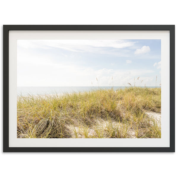 Atlantic Dunes