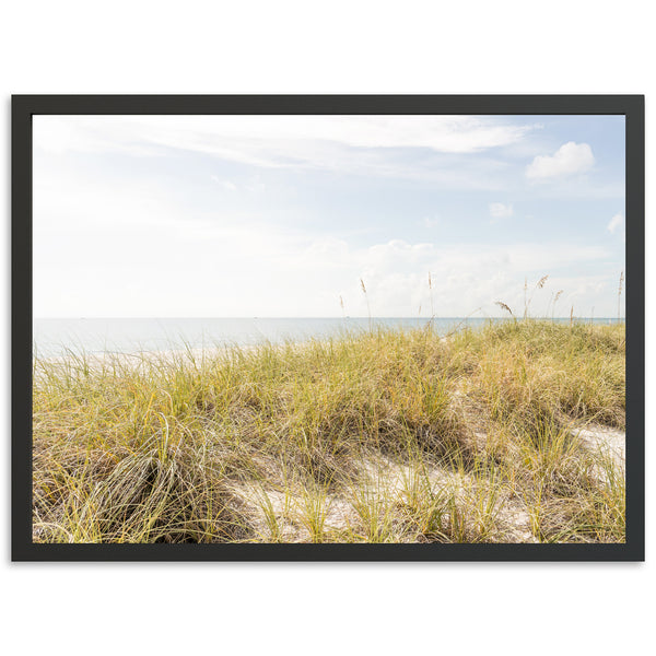 Atlantic Dunes