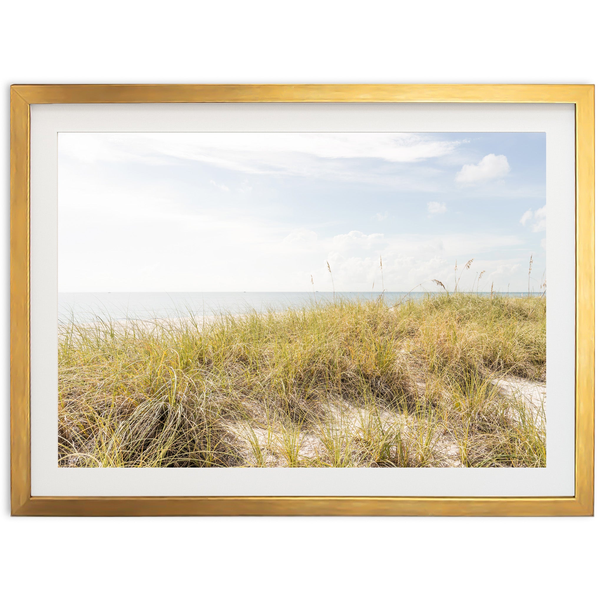 Atlantic Dunes