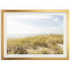 Atlantic Dunes