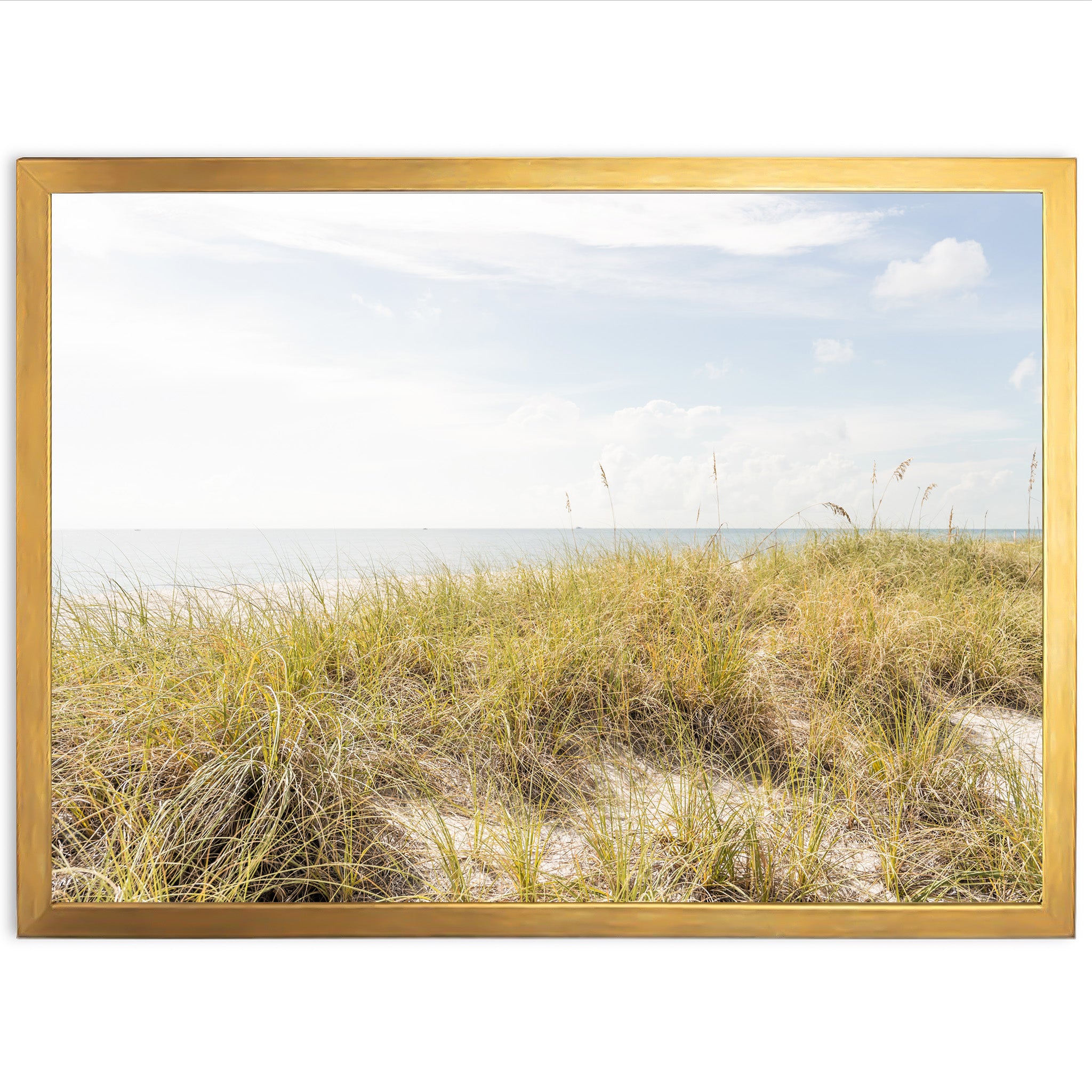 Atlantic Dunes