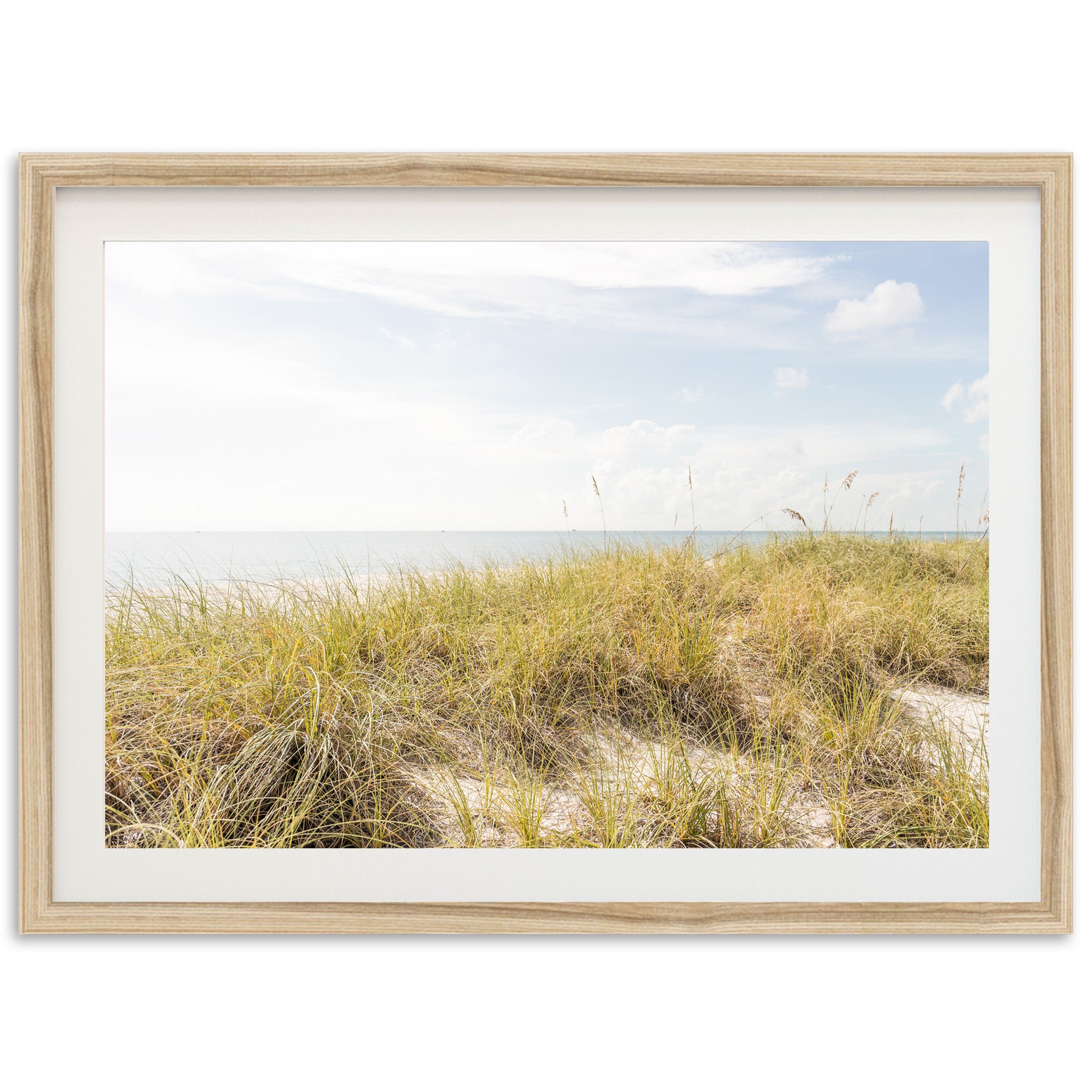 Atlantic Dunes