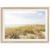 Atlantic Dunes