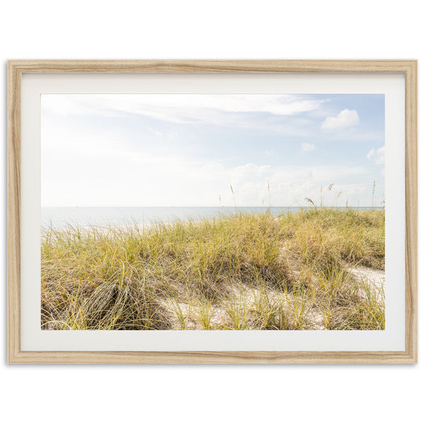 Atlantic Dunes