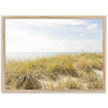 Atlantic Dunes