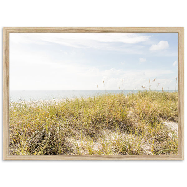 Atlantic Dunes