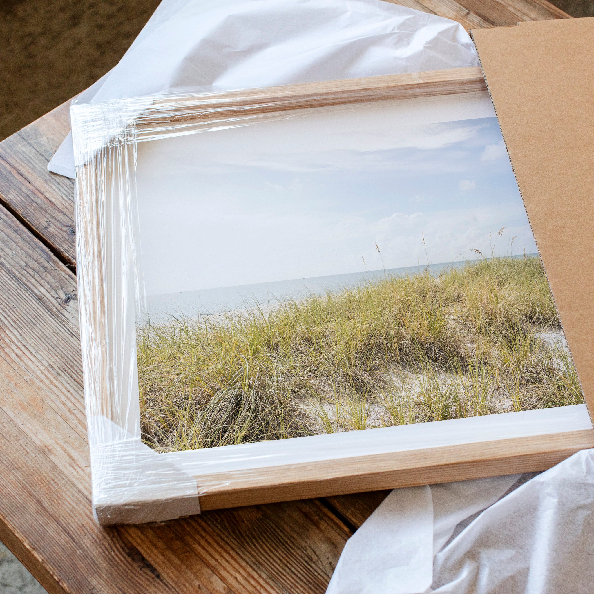 Atlantic Dunes