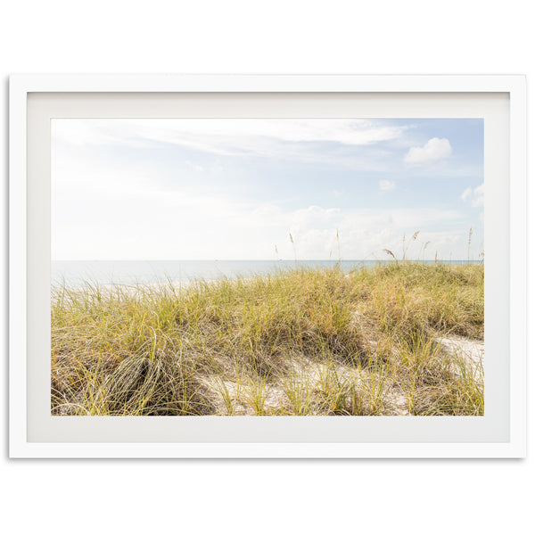 Atlantic Dunes